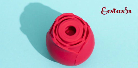 Rose Vibrator vs Traditional Vibrator