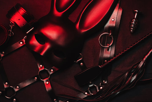 BDSM Kits